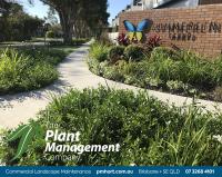 The Plant Management Company image 11